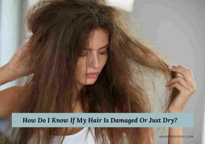 hair caredry and damaged haircaring for dry damaged hair terbaru