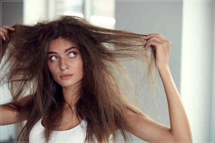 hair caredry and damaged haircaring for dry damaged hair