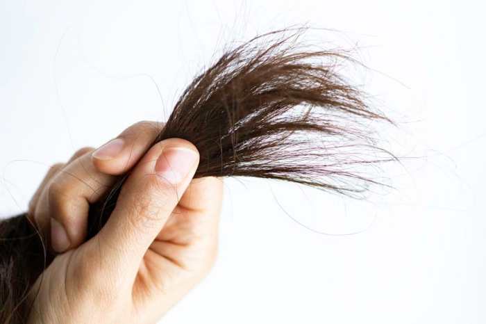 hair caredry and damaged hairheat damaged hair terbaru