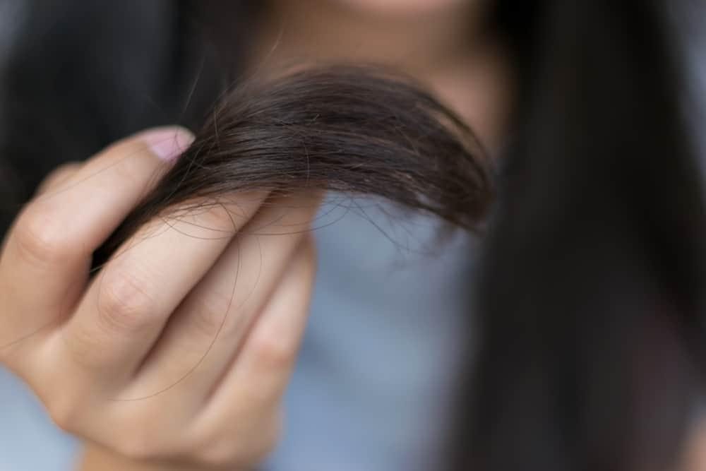 Cara Mengatasi Rambut Kering Dan Mengembang