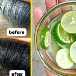 Photo by radarpekalongan.disway.id - Cara Mengatasi Ketombe Basah Berbau dengan Jeruk Nipis