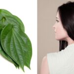 Photo by lifestyle.kompas.com - Manfaat Daun Sirih untuk Mengatasi Rambut Rontok secara Alami
