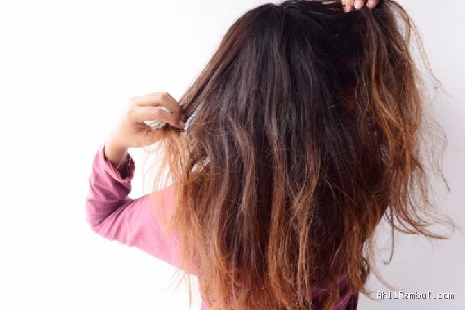 Photo by zonacantikind.blogspot.com - Manfaat Minyak Biji Bunga Matahari untuk Atasi Rambut Bercabang