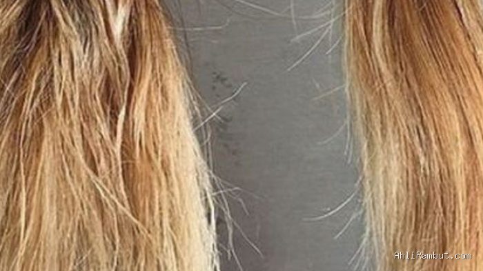Photo by style.tribunnews.com - Solusi Mengatasi Rambut Melar dan Elastis Akibat Over Bleach