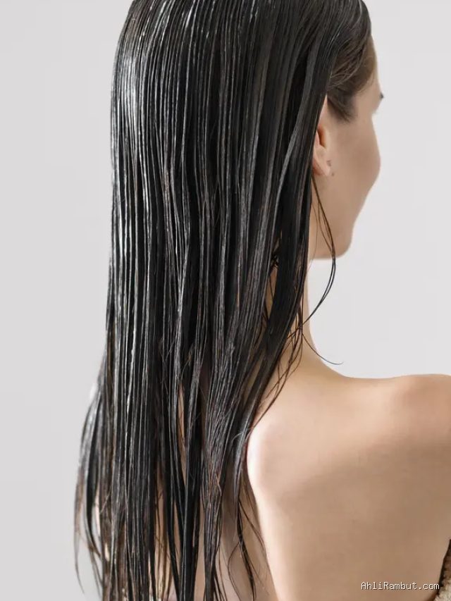 Efek Membiarkan Rambut Basah Terikat Terhadap Kebotakan Dini